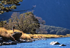 Wilkin River 101329.jpg